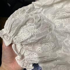 刺繍透かし白の泡袖の上着の画像