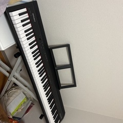 Roland GO-88