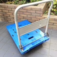 大型台車 300kg　の画像