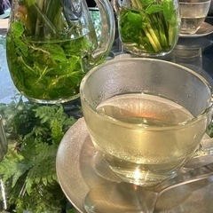 お茶したりできるお友達募集