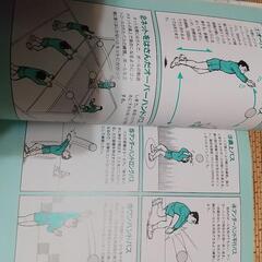 見てわかるバレーボール 本 カラー 放出でも可の画像