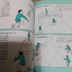 見てわかるバレーボール 本 カラー 放出でも可の画像