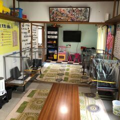 【随時】放課後等デイサービス職員　稲荷町地域【募集】