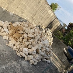 琉球石灰岩