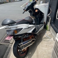 シグナス 2型 の画像