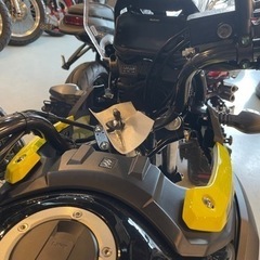 スズキ　Vストローム250 新車の画像