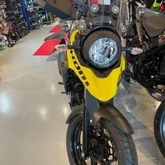 スズキ　Vストローム250 新車の画像