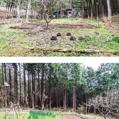 【マンスリー戸建て　家庭菜園・囲炉裏・薪ストーブつき、1DK、1500平米、5万円】静かな森の中の一軒家！【テレワーク、アトリエに最適】 - 賃貸（マンション/一戸建て）