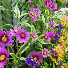 【急募】生花祭壇の飾り付けスタッフ募集の画像