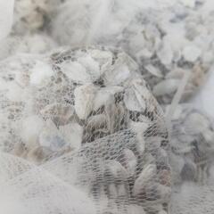 牡蠣殻 かきがら 水質改善に♪ 1袋200円 3袋500円の画像