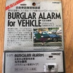 Ж  大切な車の盗難防止器 Жの画像