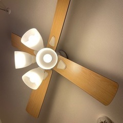 シーリングファンの画像