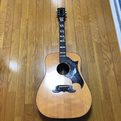 Pearl by Hayashi パール　DOVE