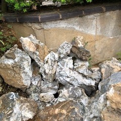 庭石　
