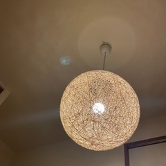 Francfranc エピカ 照明の画像