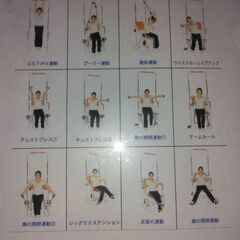 マルチホームトレーナーの画像