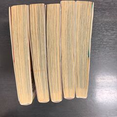 セキセイインコ　お売りいたしますの画像