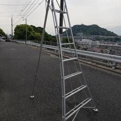 アルミ園芸用脚立　三脚　8尺 (2m40センチくらい)