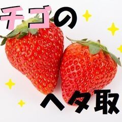 週3日～OK！簡単イチゴのヘタ取り作業★友達と一緒に応募OK！　...