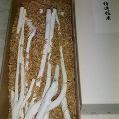 茶道　炉用枝炭
