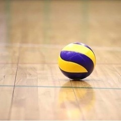 5/15(日)バレーボールやります！！