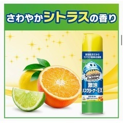 激泡バスクリーナーEX570ml 9個セット　浴室　壁　床　洗剤　カビ取りの画像