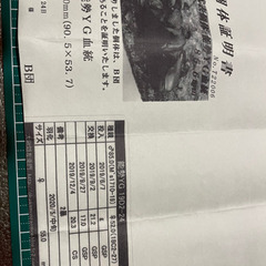 能勢YG血統^ ^ 値下げ🥲の画像