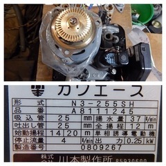 【中古】川本 ポンプ カワエース N3-255SH 50hz 100V （0809267）の画像