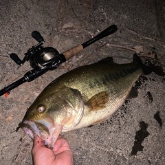 釣り仲間募集！