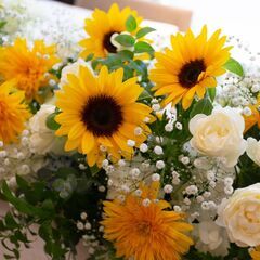 【荒天中止】ひまわり畑🌻@武蔵村山市 (Kanoa Photo Club -3) - メンバー募集