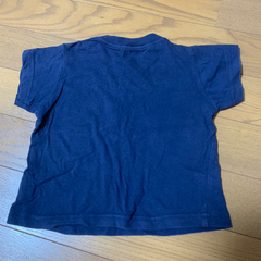 動物 半袖 Tシャツの画像