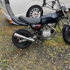 エイプ50の画像
