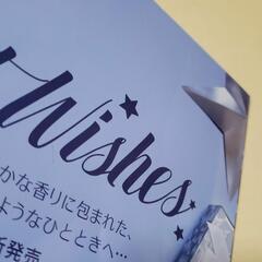 +act　vol.109　King ＆ Princeの画像