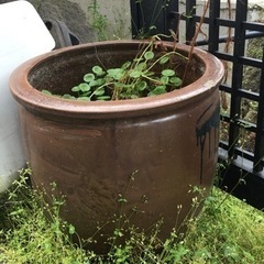 瓶　壺　メダカ用　植木鉢カバー　などにの画像