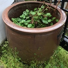 瓶　壺　メダカ用　植木鉢カバー　などに
