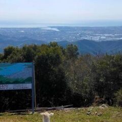 山登り始めました、