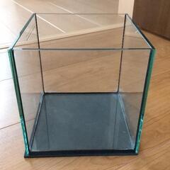 小型キューブ水槽