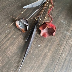 ソファの横に置くお洒落なオブジェ‼️の画像
