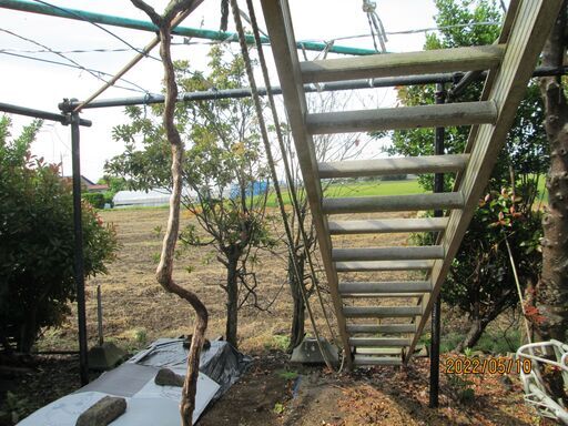 スライド式2連梯子