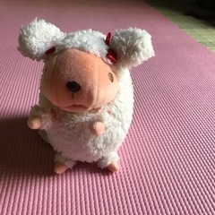 ぬいぐるみセット‼️の画像