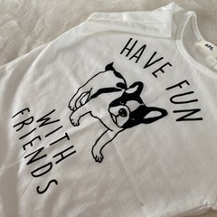 新品⭐︎MPS ブルドッグ 半袖 Tシャツ 100cm シャツ ネルシャツ 白の画像