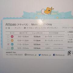 アティパス　L  12.5の画像