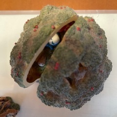 となりのトトログッズ　大甲橋近く7イレブン新屋敷店で受け渡しの画像