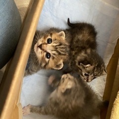 【締切ます】お問い合わせありがとうございました