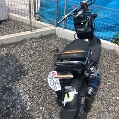 HONDAズーマー