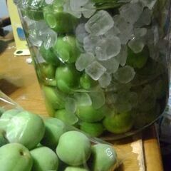 無農薬の梅で梅シロップ又は梅酒を作ろう！