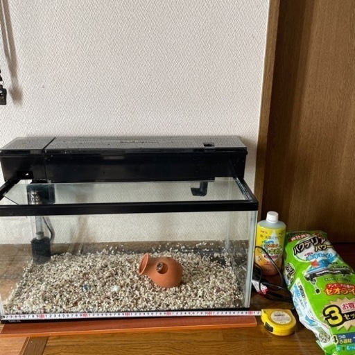 金魚、メダカ水槽
