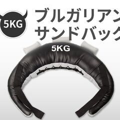 Absport（エービースポーツ） ブルガリアンサンドバッグ 5...