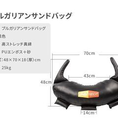 Absport（エービースポーツ） ブルガリアンサンドバッグ 25KG パワーバッグ フィトネス トレーニング Absport トレーニング フィットネス|ジム|クラブ WEBG-006A-25KGの画像