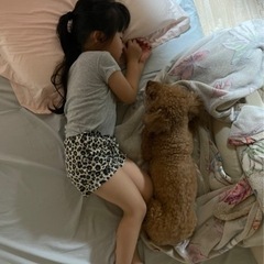 娘が犬アレルギーになってしまいました - 江戸川区